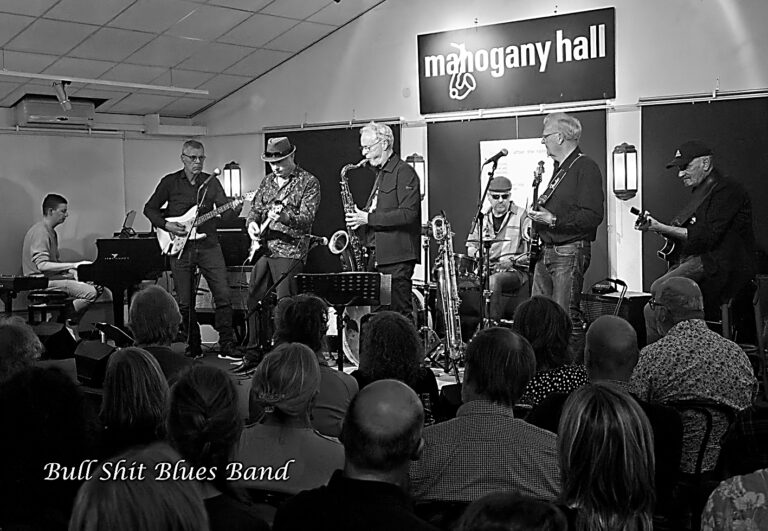 Bull Shit Blues Band